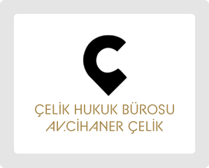 2013 Yılı Vergi Rekortmeni